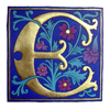 Blue and Gold letter E